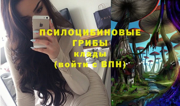 твердый Нефтекумск