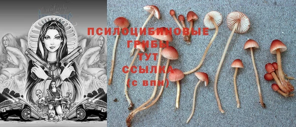 а пвп мука Билибино