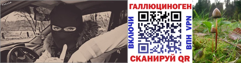 купить наркотики сайты Палласовка Псилоцибиновые грибы мицелий